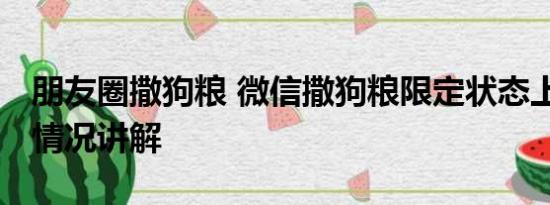 朋友圈撒狗粮 微信撒狗粮限定状态上线 基本情况讲解