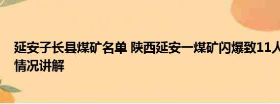 延安子长县煤矿名单 陕西延安一煤矿闪爆致11人遇难 基本情况讲解