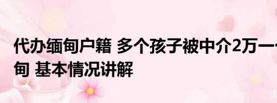 代办缅甸户籍 多个孩子被中介2万一个带到缅甸 基本情况讲解