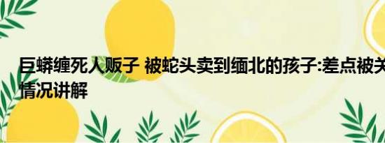 巨蟒缠死人贩子 被蛇头卖到缅北的孩子:差点被关兽笼 基本情况讲解