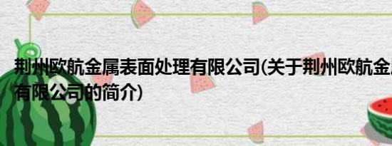 荆州欧航金属表面处理有限公司(关于荆州欧航金属表面处理有限公司的简介)