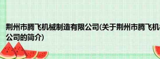 荆州市腾飞机械制造有限公司(关于荆州市腾飞机械制造有限公司的简介)