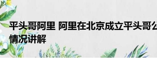 平头哥阿里 阿里在北京成立平头哥公司 基本情况讲解