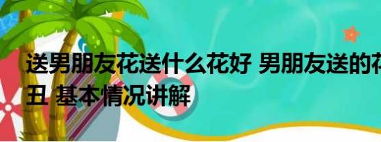 送男朋友花送什么花好 男朋友送的花能有多丑 基本情况讲解