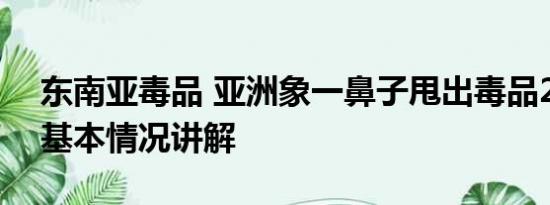 东南亚毒品 亚洲象一鼻子甩出毒品2.8公斤 基本情况讲解