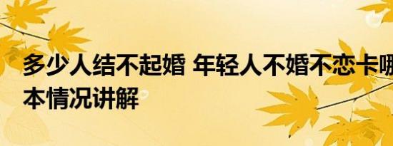 多少人结不起婚 年轻人不婚不恋卡哪了？ 基本情况讲解