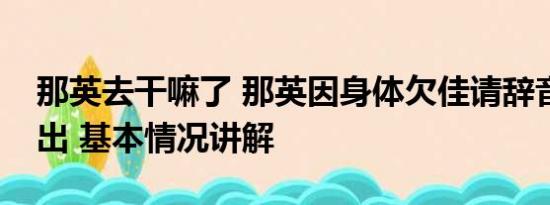 那英去干嘛了 那英因身体欠佳请辞音乐节演出 基本情况讲解