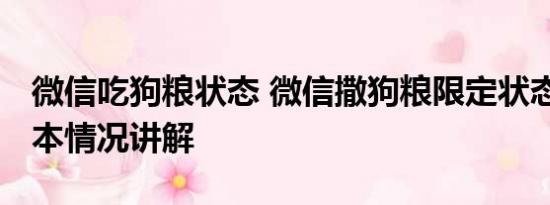 微信吃狗粮状态 微信撒狗粮限定状态上线 基本情况讲解