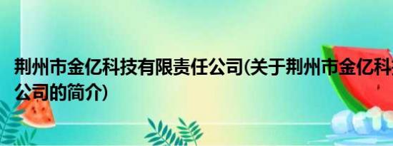 荆州市金亿科技有限责任公司(关于荆州市金亿科技有限责任公司的简介)