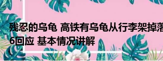 残忍的乌龟 高铁有乌龟从行李架掉落？12306回应 基本情况讲解