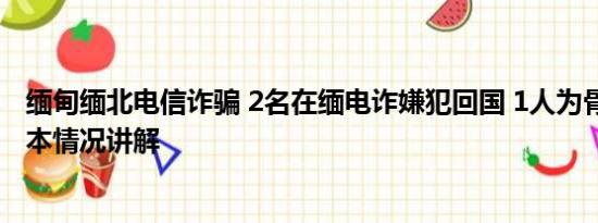 缅甸缅北电信诈骗 2名在缅电诈嫌犯回国 1人为骨干头目 基本情况讲解