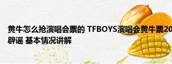 黄牛怎么抢演唱会票的 TFBOYS演唱会黄牛票200万？警方辟谣 基本情况讲解