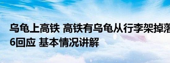 乌龟上高铁 高铁有乌龟从行李架掉落？12306回应 基本情况讲解