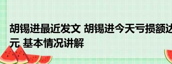 胡锡进最近发文 胡锡进今天亏损额达到9050元 基本情况讲解