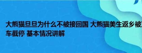 大熊猫旦旦为什么不被接回国 大熊猫美生返乡被直播博主拦车截停 基本情况讲解