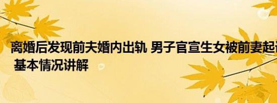 离婚后发现前夫婚内出轨 男子官宣生女被前妻起诉婚内出轨 基本情况讲解