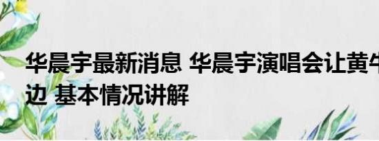 华晨宇最新消息 华晨宇演唱会让黄牛别来沾边 基本情况讲解