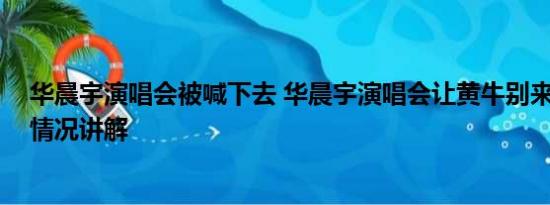 华晨宇演唱会被喊下去 华晨宇演唱会让黄牛别来沾边 基本情况讲解