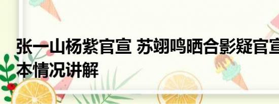 张一山杨紫官宣 苏翊鸣晒合影疑官宣恋情 基本情况讲解