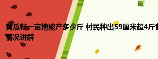 黄瓜籽一亩地能产多少斤 村民种出59厘米超4斤黄瓜王 基本情况讲解