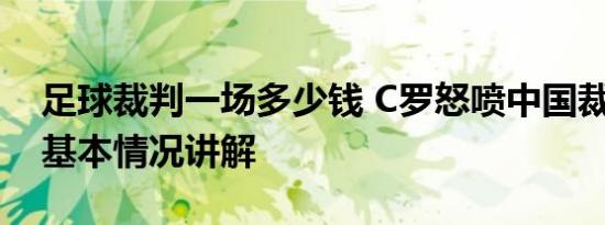 足球裁判一场多少钱 C罗怒喷中国裁判傅明 基本情况讲解