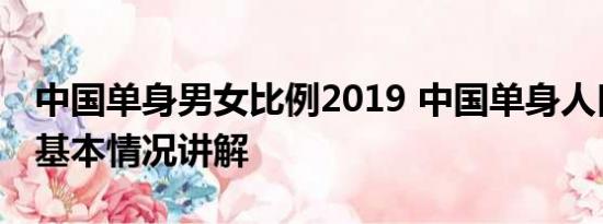 中国单身男女比例2019 中国单身人口超2亿 基本情况讲解