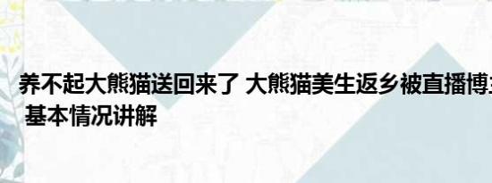 养不起大熊猫送回来了 大熊猫美生返乡被直播博主拦车截停 基本情况讲解