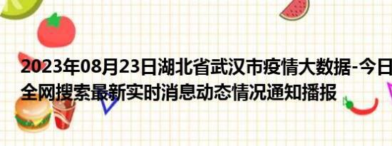 2023年08月23日湖北省武汉市疫情大数据-今日/今天疫情全网搜索最新实时消息动态情况通知播报