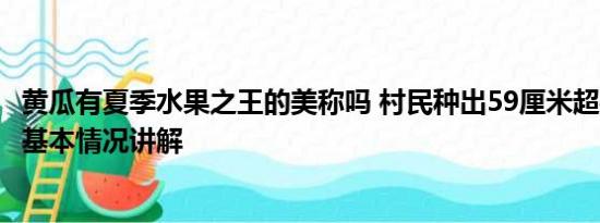 黄瓜有夏季水果之王的美称吗 村民种出59厘米超4斤黄瓜王 基本情况讲解