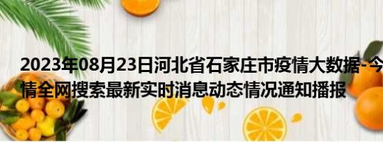 2023年08月23日河北省石家庄市疫情大数据-今日/今天疫情全网搜索最新实时消息动态情况通知播报