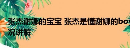 张杰谢娜的宝宝 张杰是懂谢娜的boy 基本情况讲解