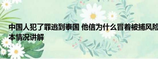 中国人犯了罪逃到泰国 他信为什么冒着被捕风险回泰国 基本情况讲解