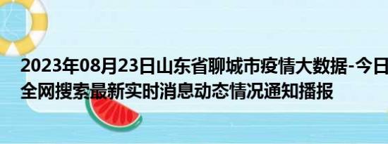 2023年08月23日山东省聊城市疫情大数据-今日/今天疫情全网搜索最新实时消息动态情况通知播报