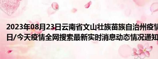 2023年08月23日云南省文山壮族苗族自治州疫情大数据-今日/今天疫情全网搜索最新实时消息动态情况通知播报