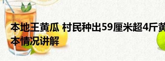 本地王黄瓜 村民种出59厘米超4斤黄瓜王 基本情况讲解