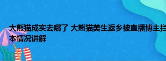 大熊猫成实去哪了 大熊猫美生返乡被直播博主拦车截停 基本情况讲解