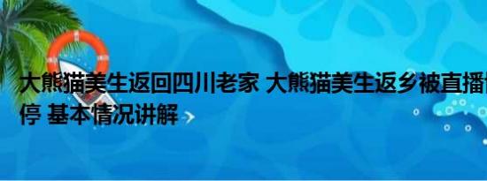 大熊猫美生返回四川老家 大熊猫美生返乡被直播博主拦车截停 基本情况讲解