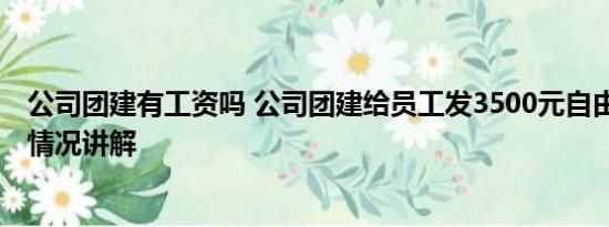 公司团建有工资吗 公司团建给员工发3500元自由安排 基本情况讲解