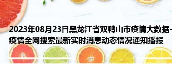 2023年08月23日黑龙江省双鸭山市疫情大数据-今日/今天疫情全网搜索最新实时消息动态情况通知播报