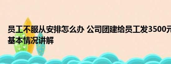 员工不服从安排怎么办 公司团建给员工发3500元自由安排 基本情况讲解