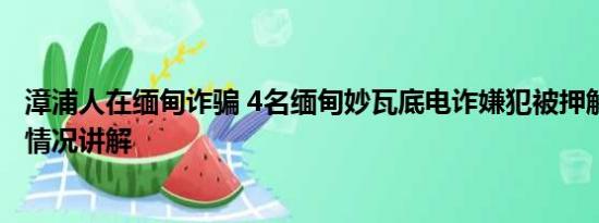 漳浦人在缅甸诈骗 4名缅甸妙瓦底电诈嫌犯被押解回国 基本情况讲解