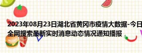 2023年08月23日湖北省黄冈市疫情大数据-今日/今天疫情全网搜索最新实时消息动态情况通知播报