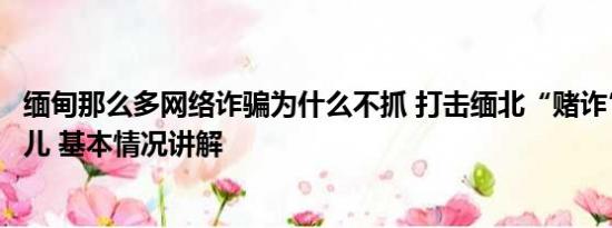 缅甸那么多网络诈骗为什么不抓 打击缅北“赌诈”难点在哪儿 基本情况讲解