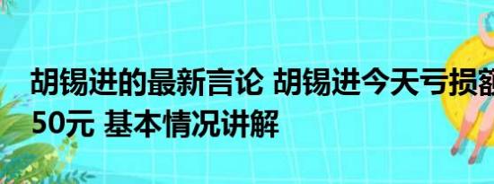 胡锡进的最新言论 胡锡进今天亏损额达到9050元 基本情况讲解