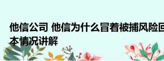 他信公司 他信为什么冒着被捕风险回泰国 基本情况讲解