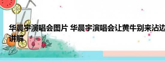 华晨宇演唱会图片 华晨宇演唱会让黄牛别来沾边 基本情况讲解