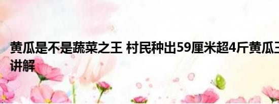 黄瓜是不是蔬菜之王 村民种出59厘米超4斤黄瓜王 基本情况讲解