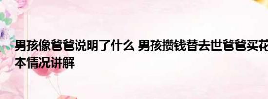 男孩像爸爸说明了什么 男孩攒钱替去世爸爸买花送妈妈 基本情况讲解