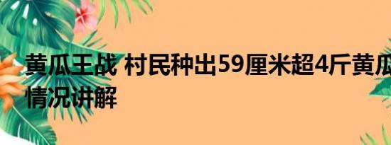 黄瓜王战 村民种出59厘米超4斤黄瓜王 基本情况讲解