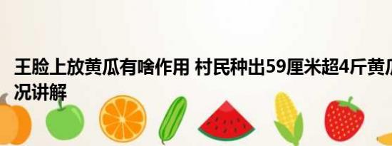 王脸上放黄瓜有啥作用 村民种出59厘米超4斤黄瓜王 基本情况讲解